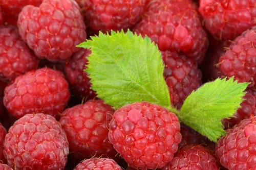 maliny_1280-768x512.jpg